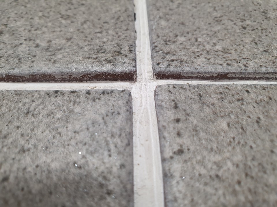 0cc7dfbf549eef4b15e34d4d9659d735_1610519