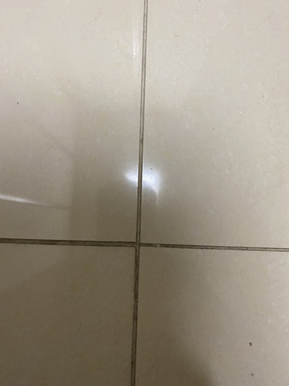 978e4523340f9bfa2c67ebf83408468e_1596765