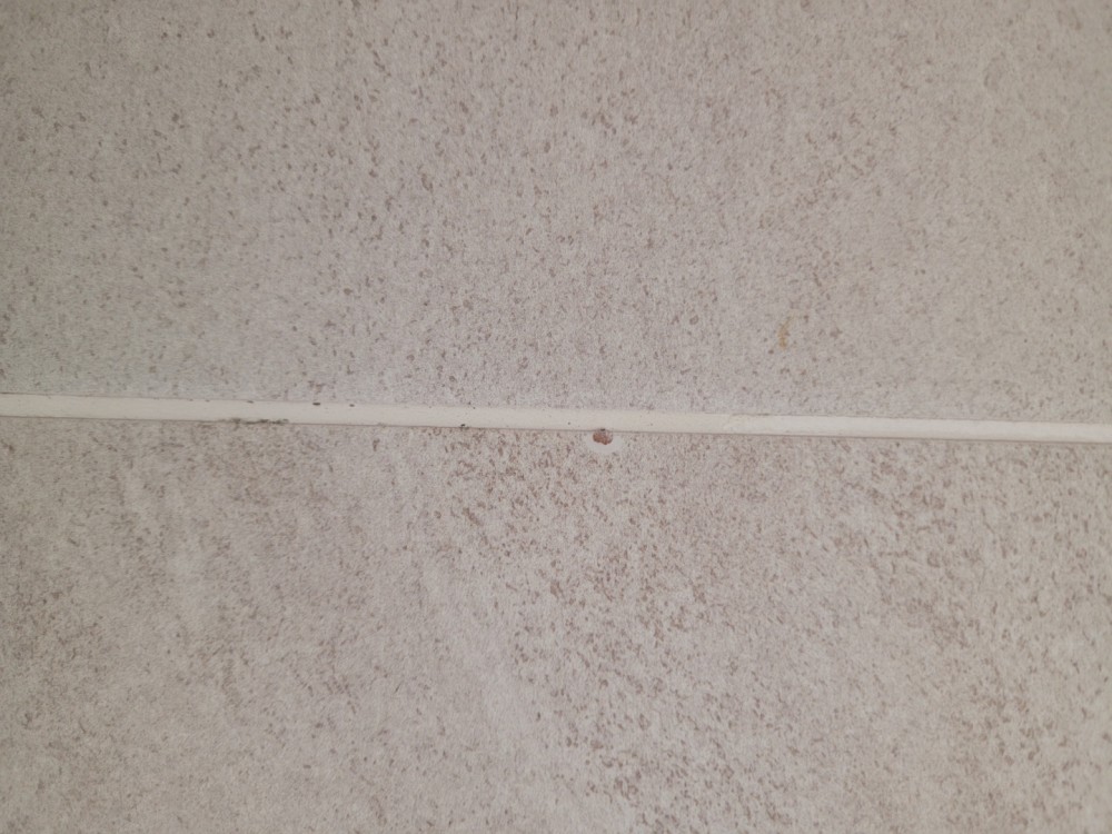 2529c37180227245d05a33c8bf931593_1666161