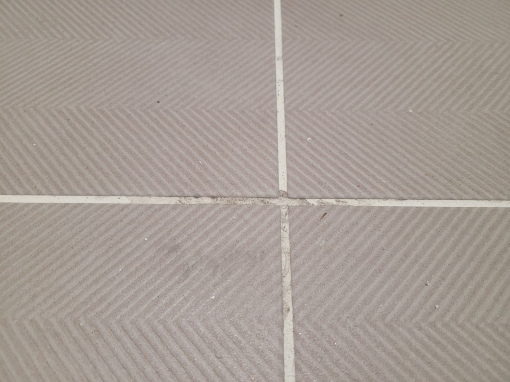 2529c37180227245d05a33c8bf931593_1666162